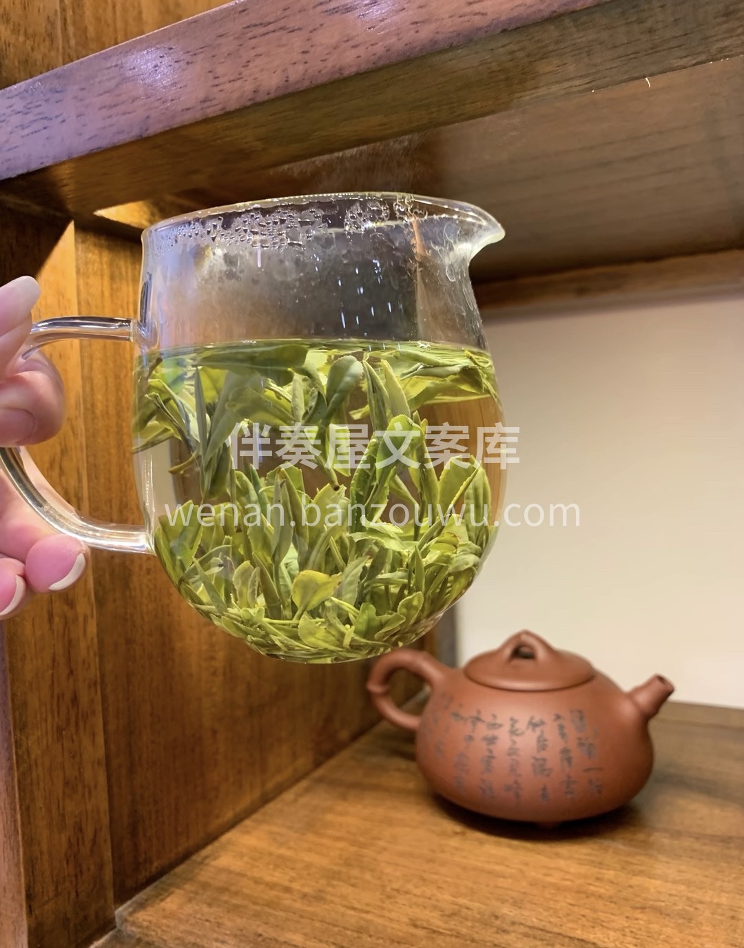 每年清明谷雨，选摘良种茶树“黄山种”、“ 配图3