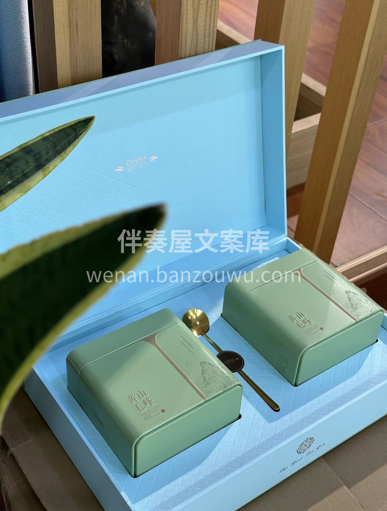 “天下名山，必产灵草”。黄山毛峰，正是孕 配图1