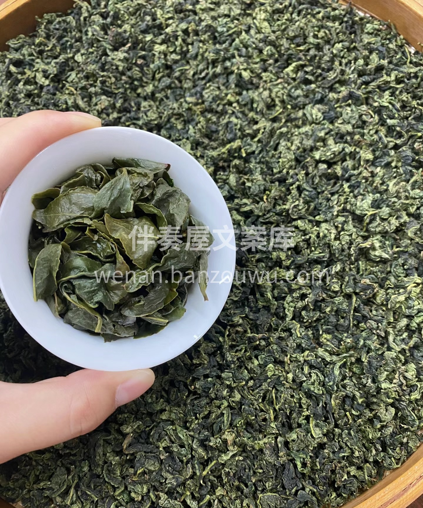 人生海海铁观音 输赢笑笑一杯茶 茶以一叶 配图3