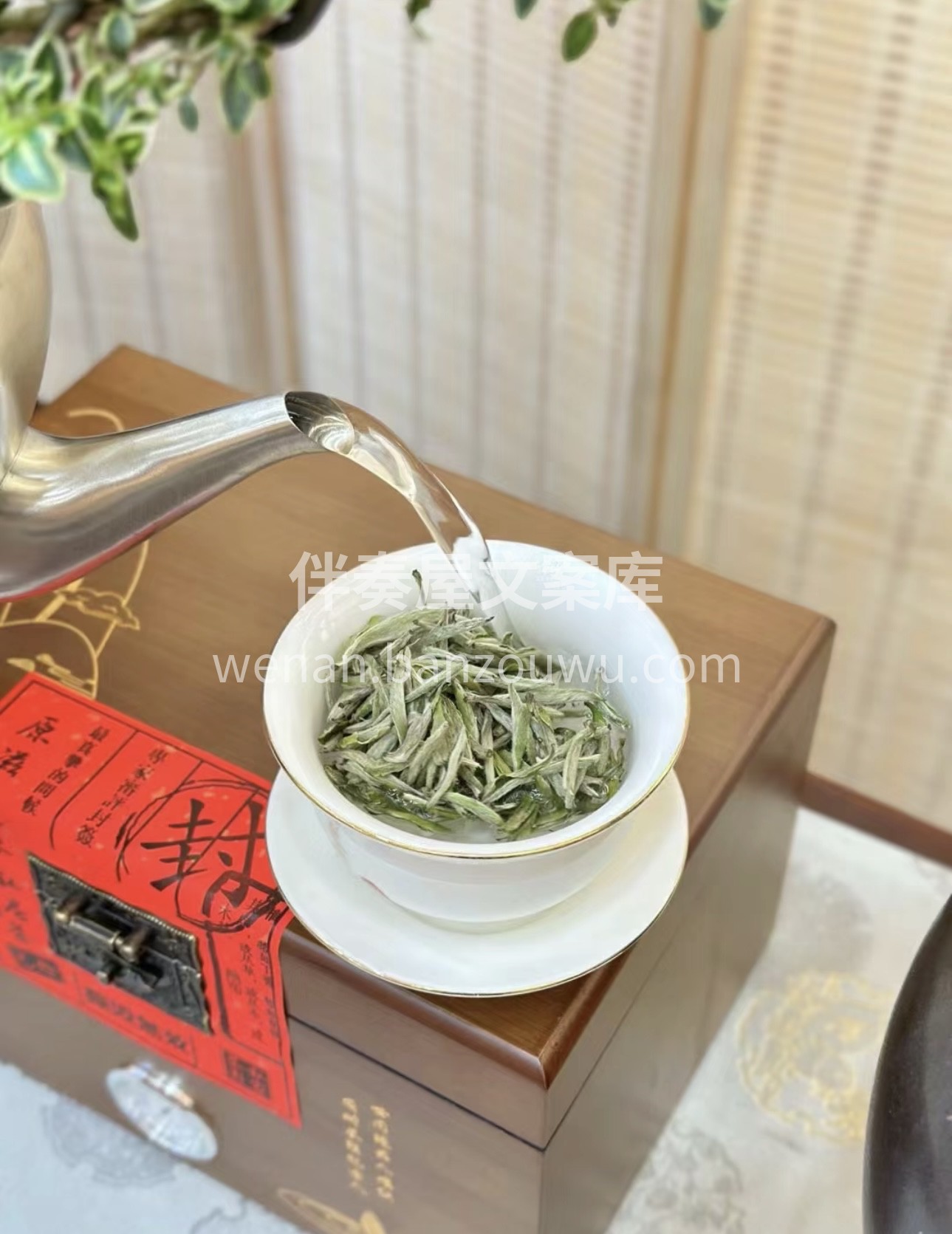 挺直如针的芽头，满披白毫，如银似雪。轻啜 配图1