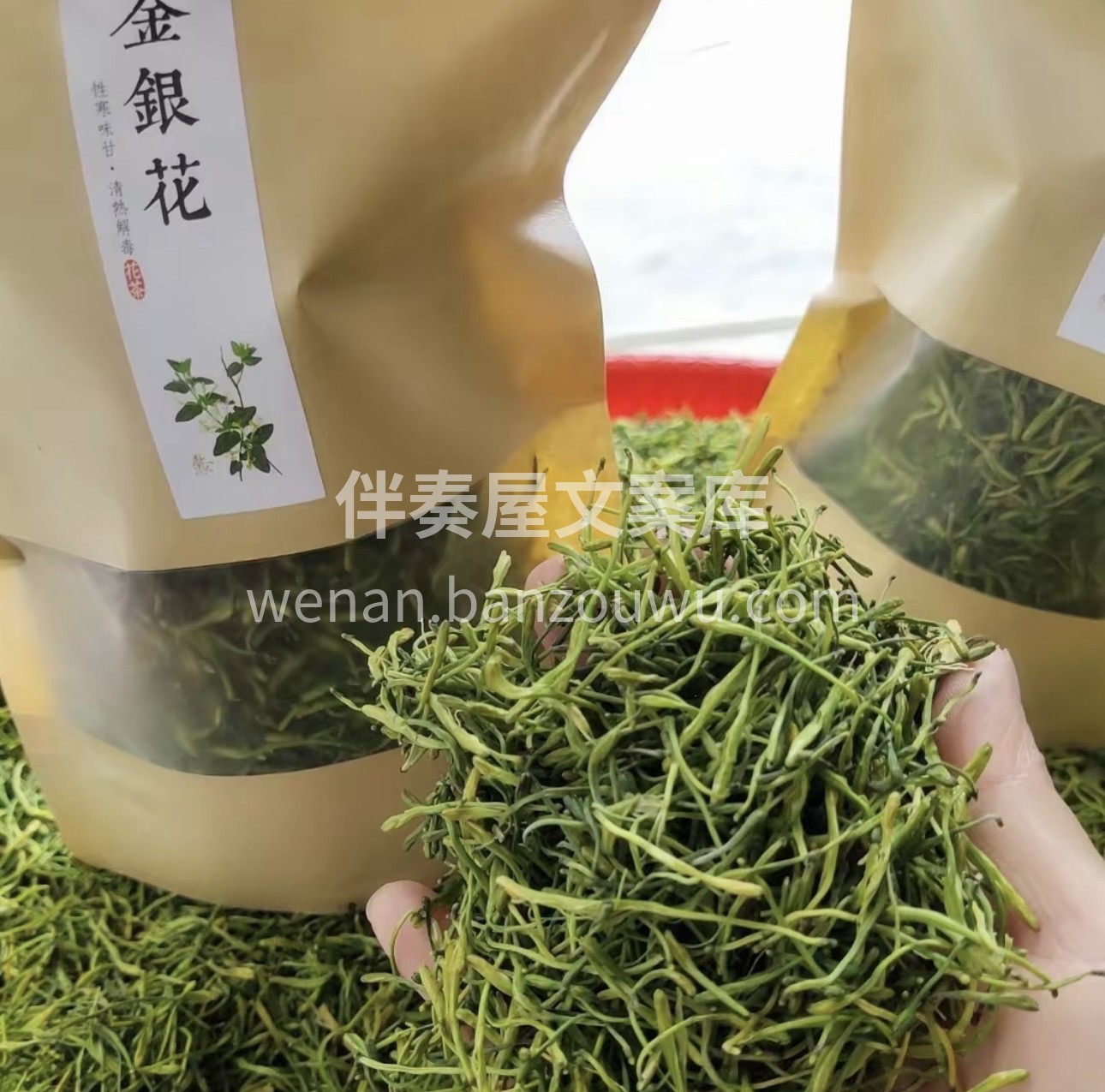 没有比上火这件事情更让人上火的事了，喝金 配图2