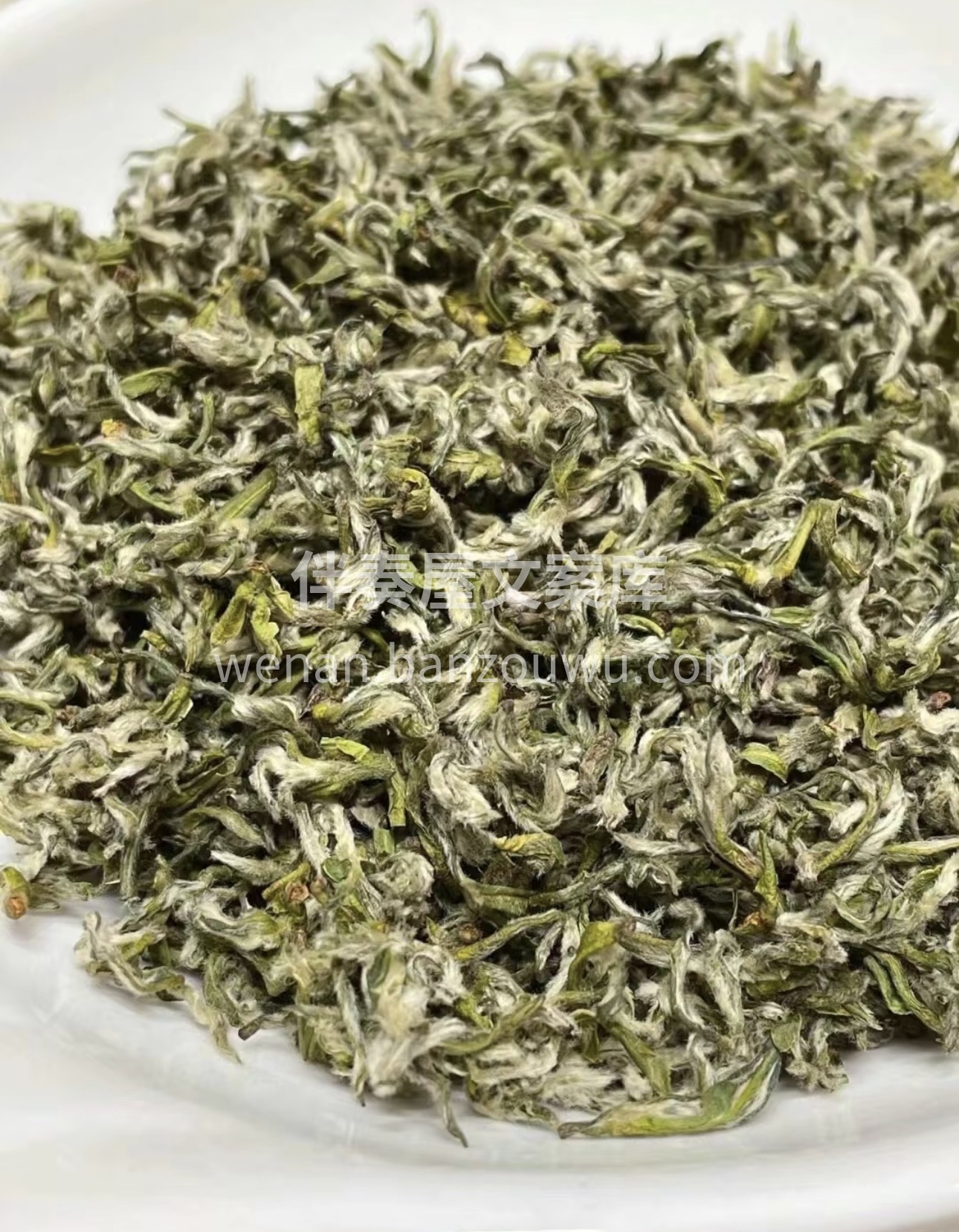 不喝头春茶，哪知茶之味匚品得春茶一口鲜胜 配图3