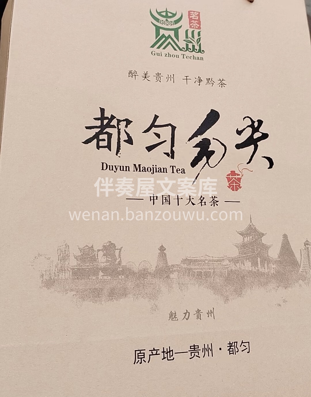 都匀毛尖绿茶，外形条索紧实卷曲、白豪披露 配图3