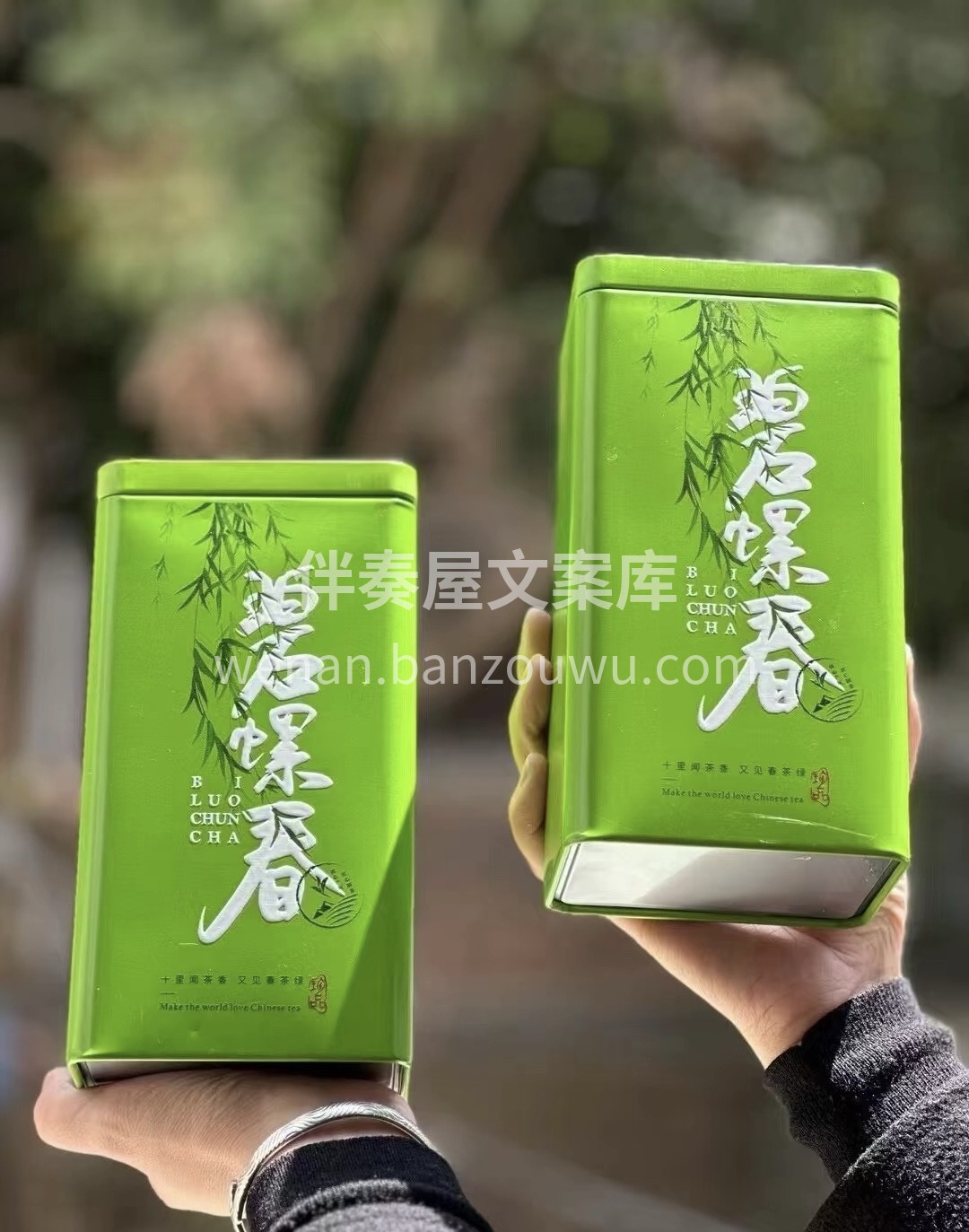 【碧螺春绿茶🍃】 高香鲜爽，茶毫丰富 头 配图3