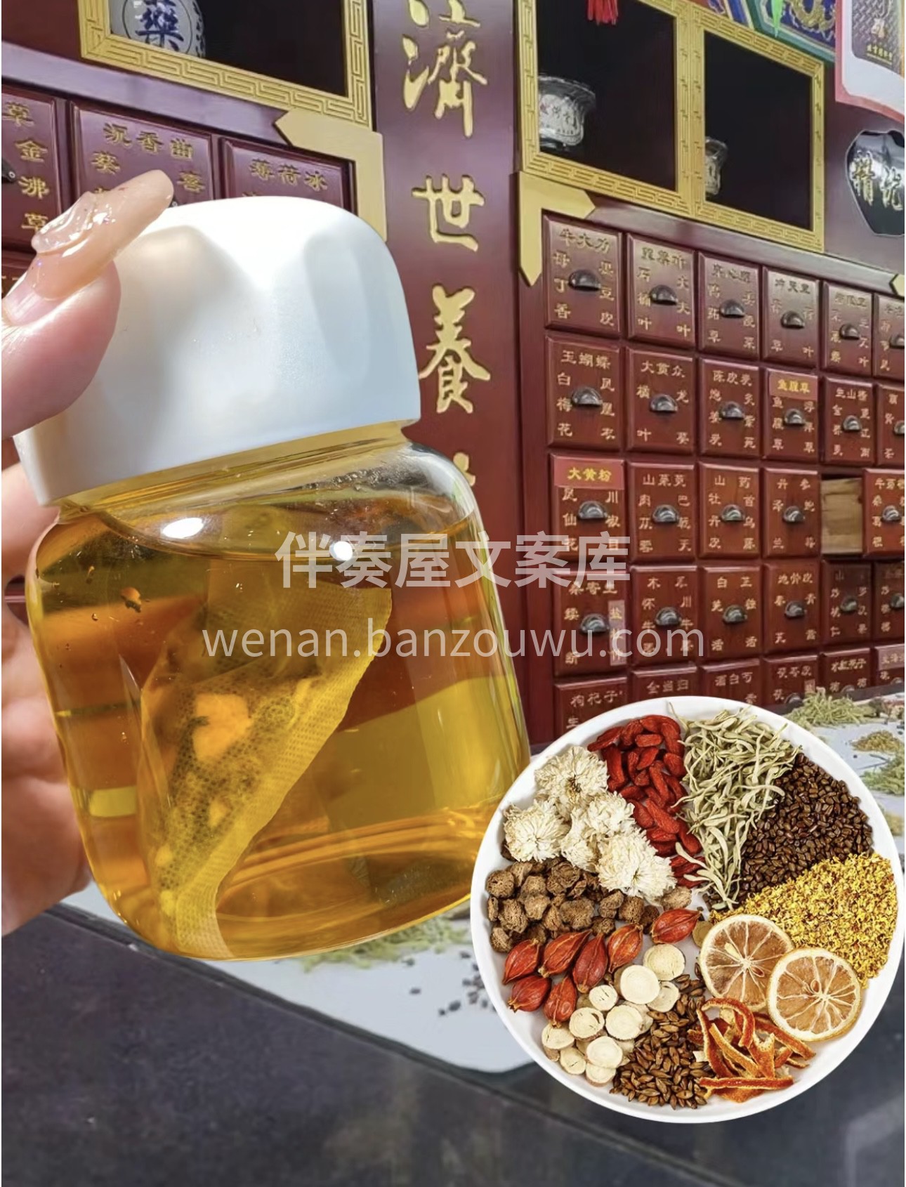 蒲公英菊花决明子茶来一场美妙的相遇。蒲公 配图3