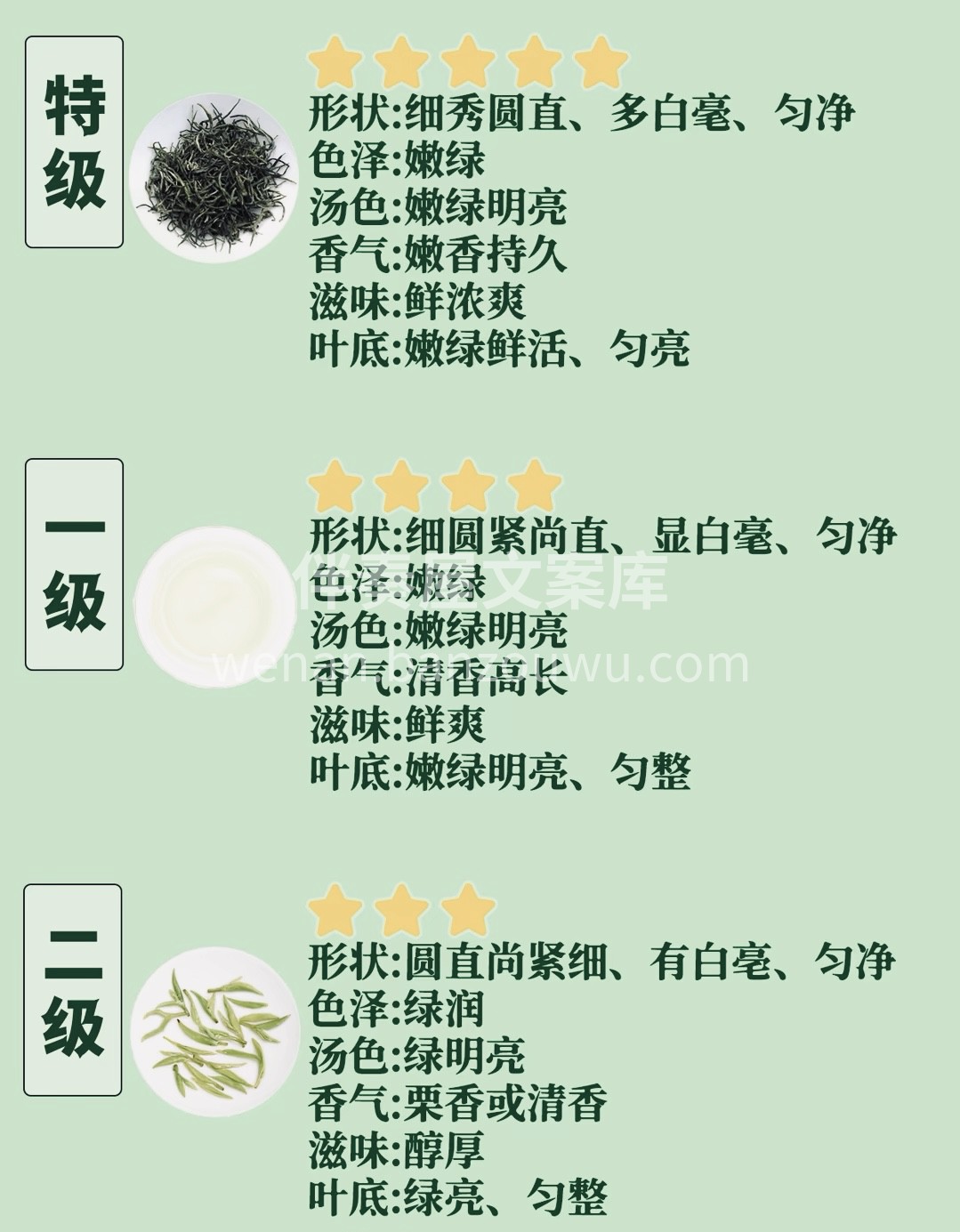 淮南茶，信阳第一 当你亲自手受到信阳毛尖的温度 当你亲口喝上 配图4