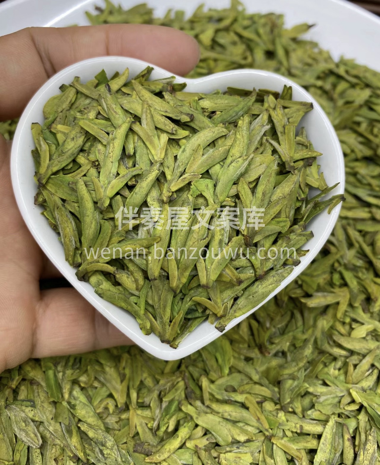 人间向暖，万物逢春 一程春暖花开，一路春 配图2