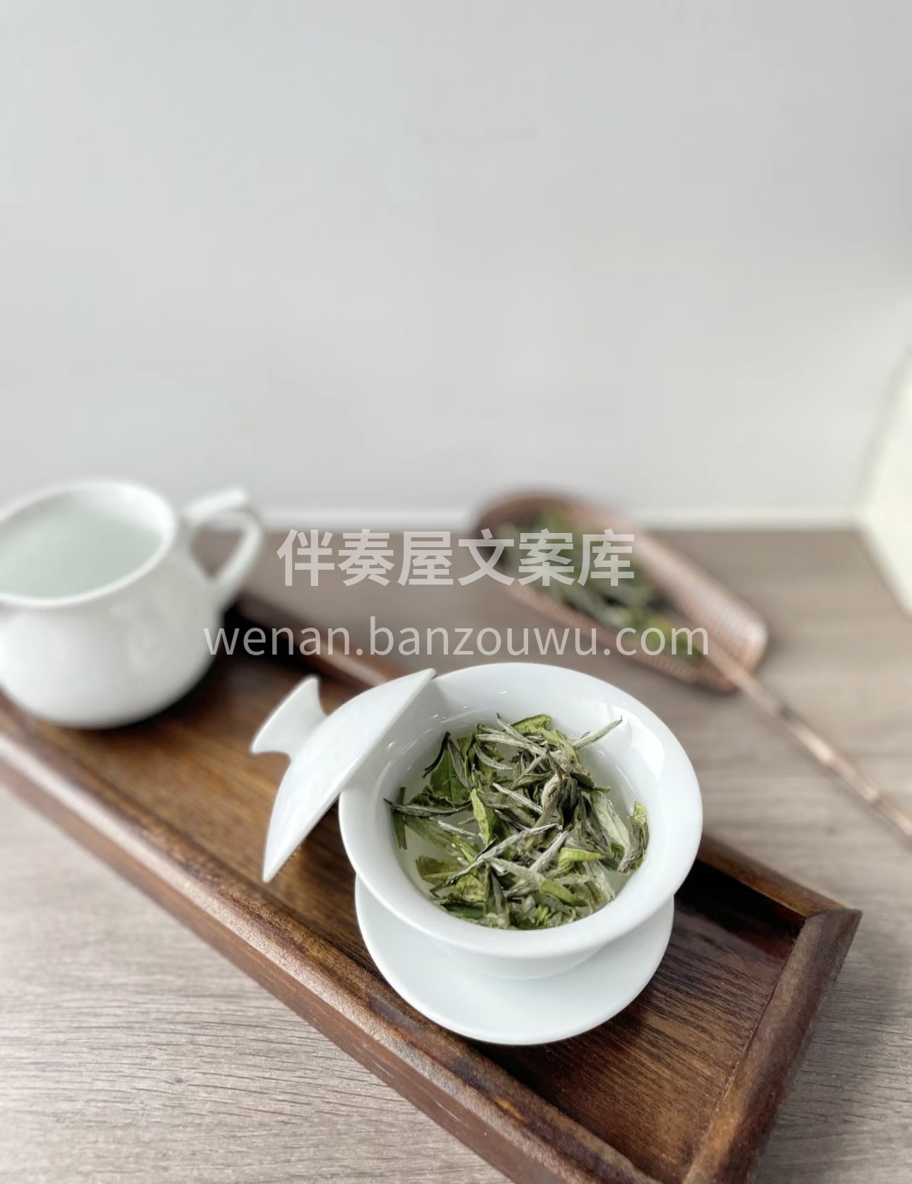 高山白牡丹绽放其独特魅力，它来自高山之畔 配图1