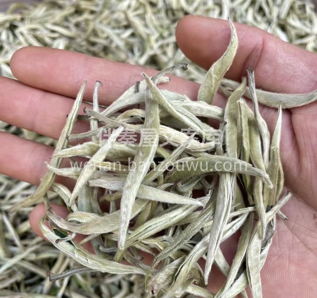 白茶银针，宛如清泉中的精灵，轻轻舞动在杯 配图2
