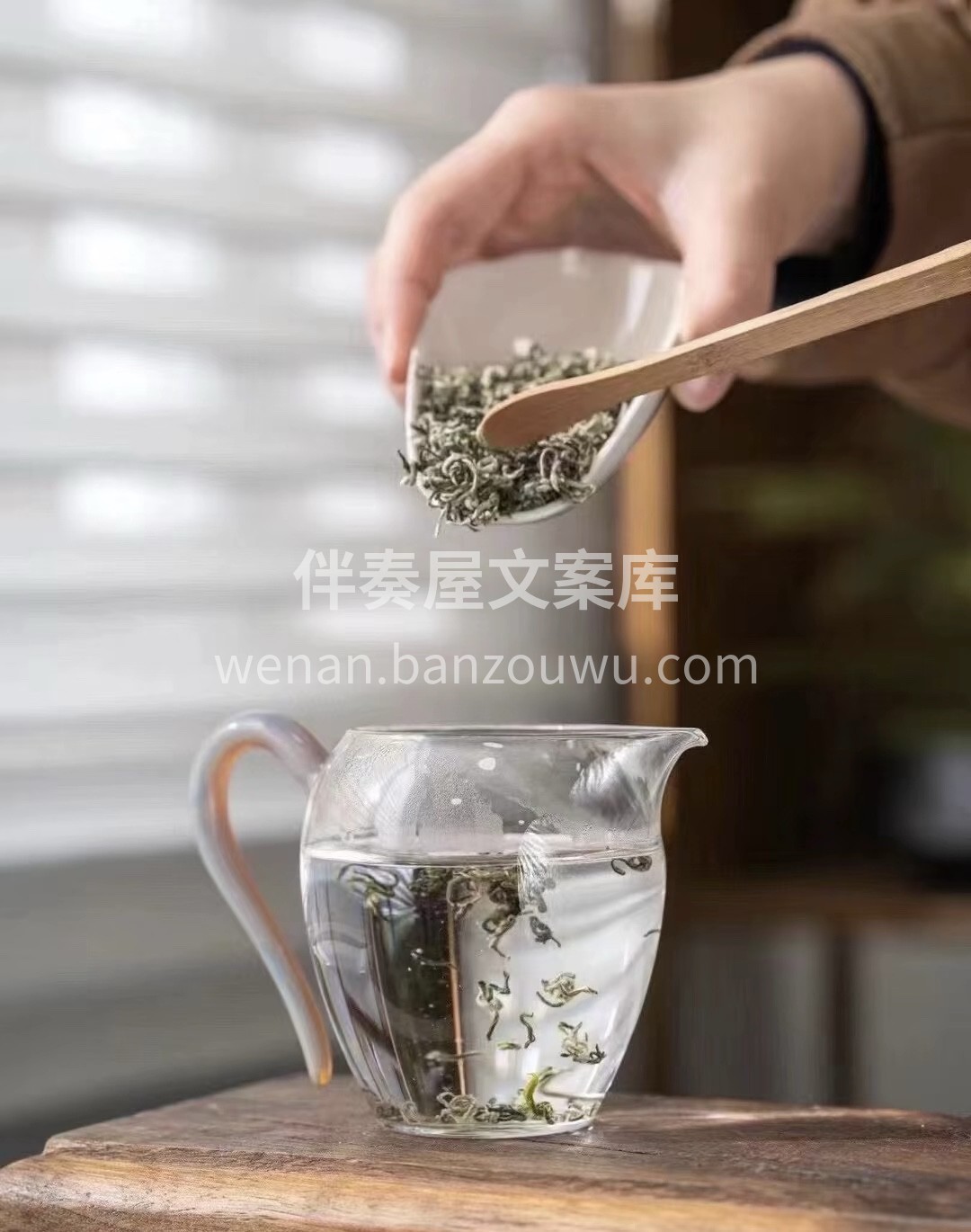 【碧螺春绿茶🍃】 高香鲜爽，茶毫丰富 头 配图2
