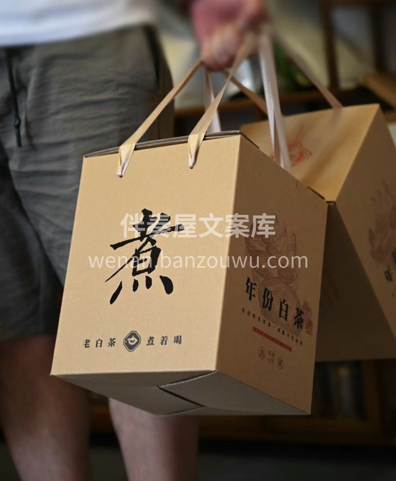 品味寿眉的醇厚韵味，那略显粗犷的外形，蕴 配图3