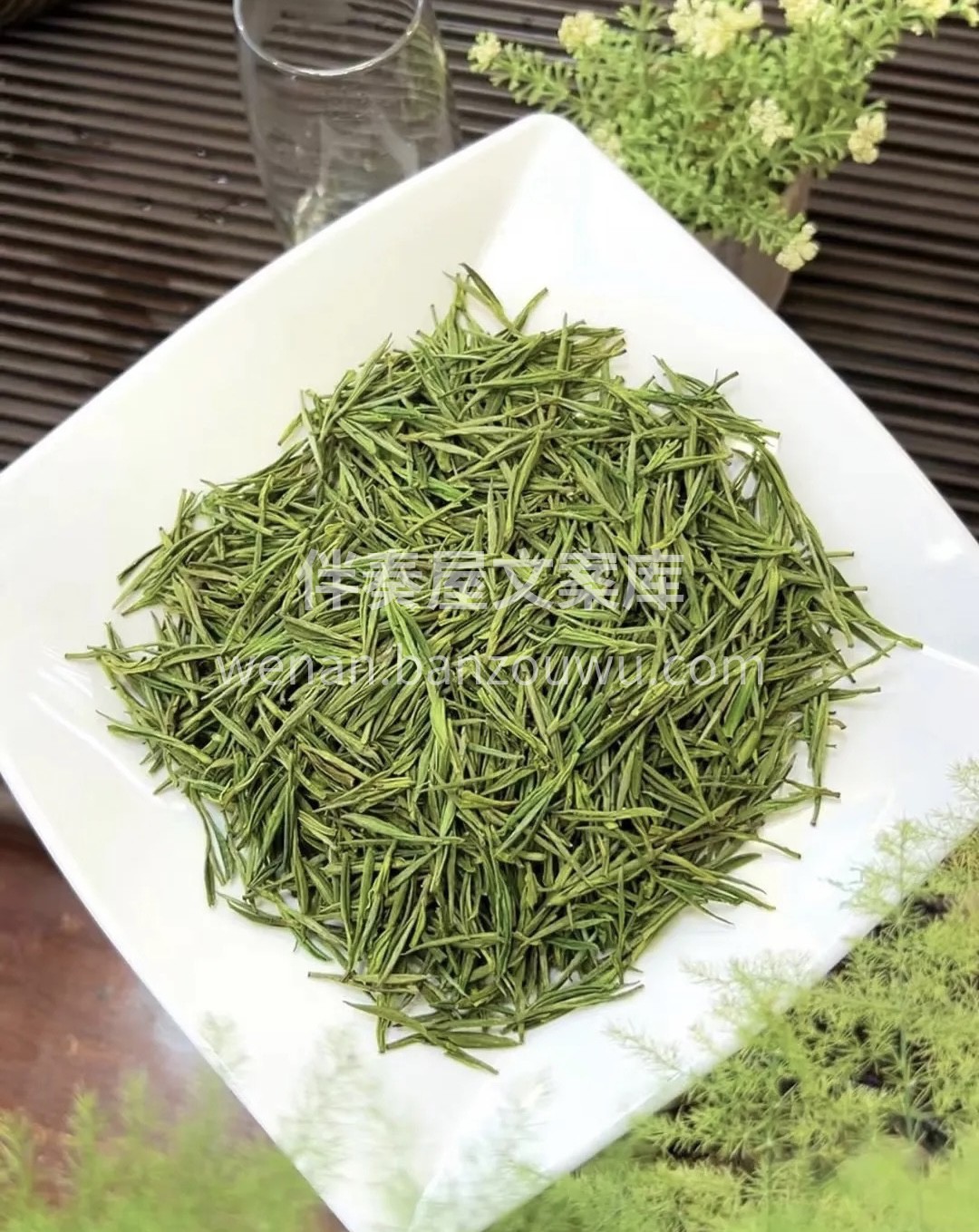 明前高山安吉白茶，颜色金黄明亮白化度好， 配图3