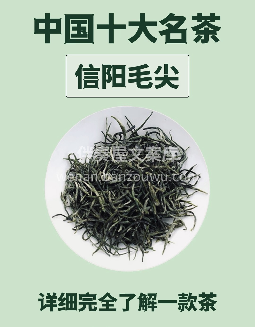 淮南茶，信阳第一 当你亲自手受到信阳毛尖 配图1