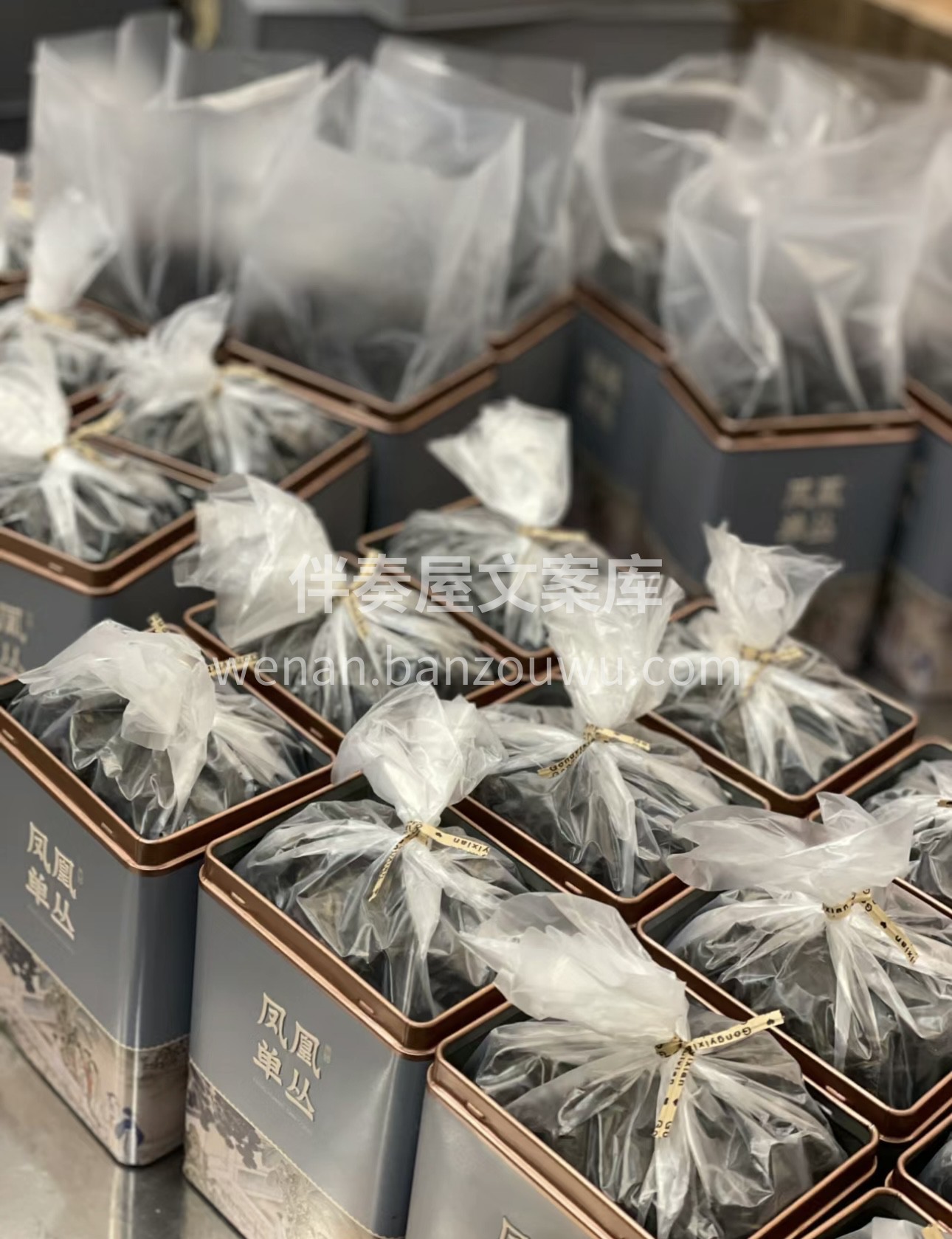 🍃一年之计在于春 🍃春天是万物复苏的季节 配图1