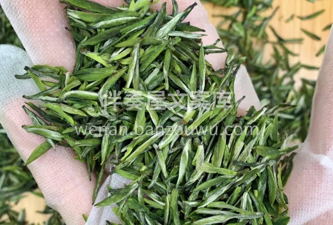 不是所有的茶，都叫"雨花茶"一杯茶的诞生 配图1