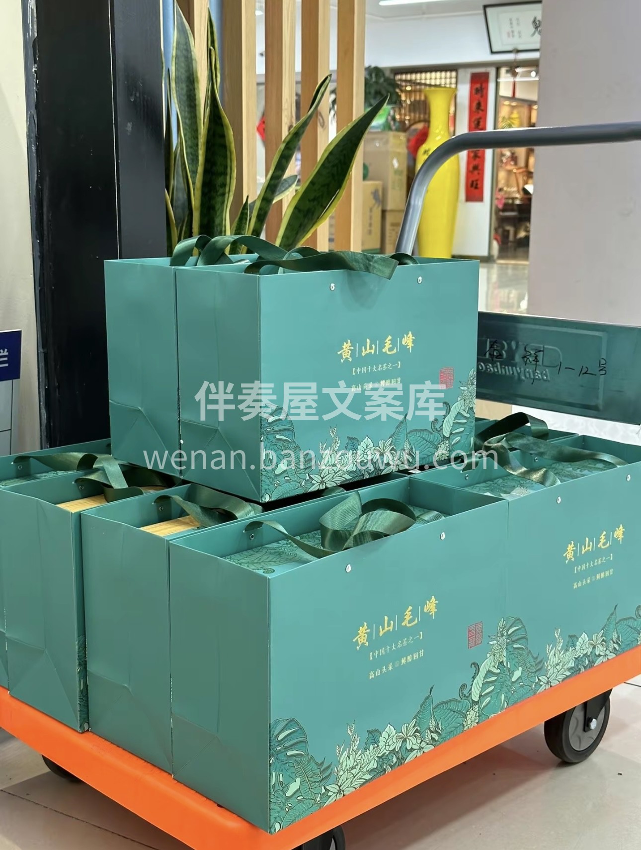 “天下名山，必产灵草”。黄山毛峰，正是孕 配图3