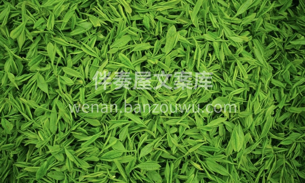 喝茶是热爱 卖茶是生活 万物皆可爱 茶叶 配图2