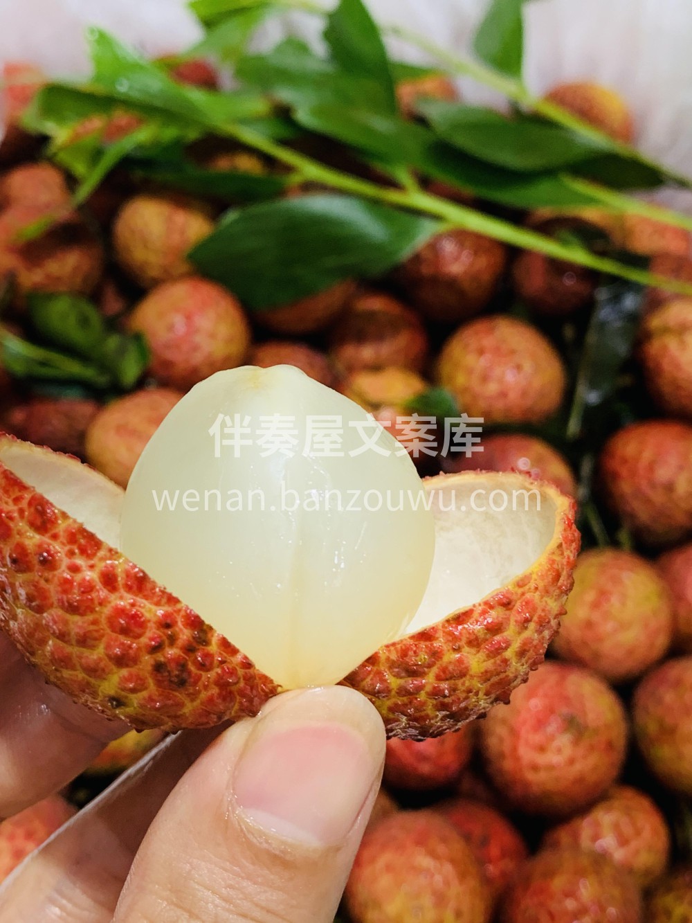 桂味荔枝💚尝完这口桂味甜🍭然后就和这个世 配图1