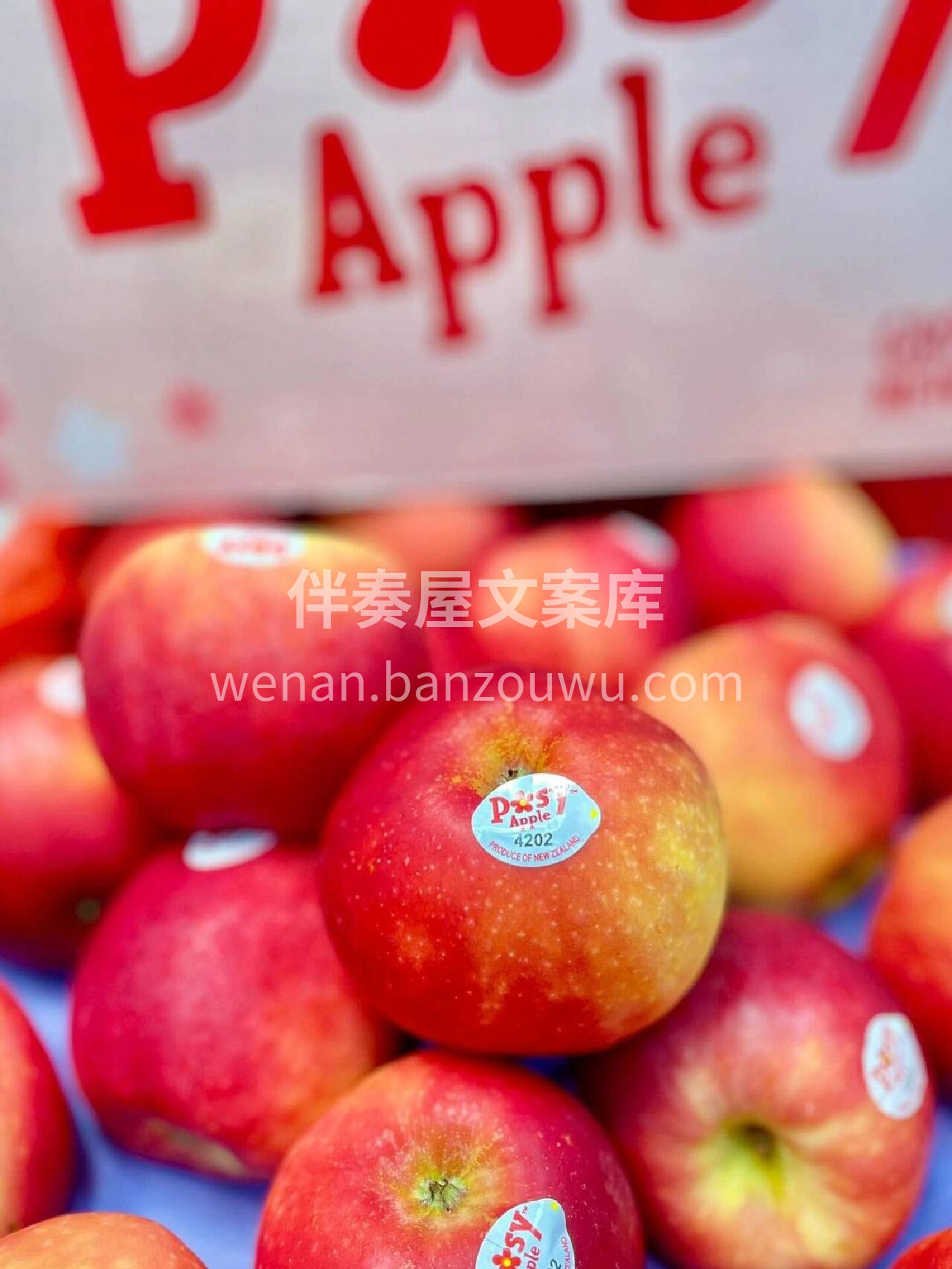 新西兰小花苹果🍎 颜色亮红略带粉色✨娇嫩 配图1