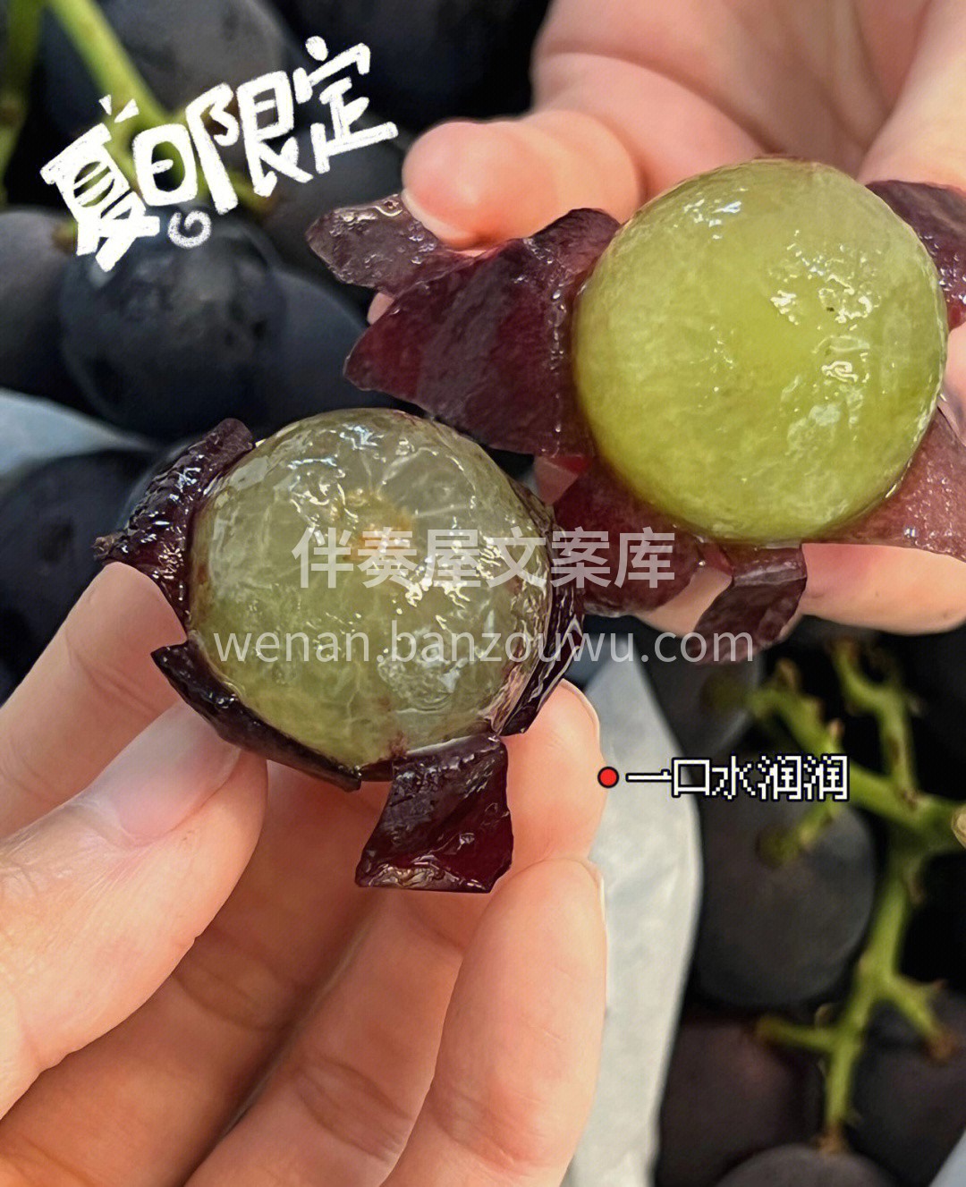 一年中吃葡萄的季节来了🍇富硒巨峰葡萄 富 配图2