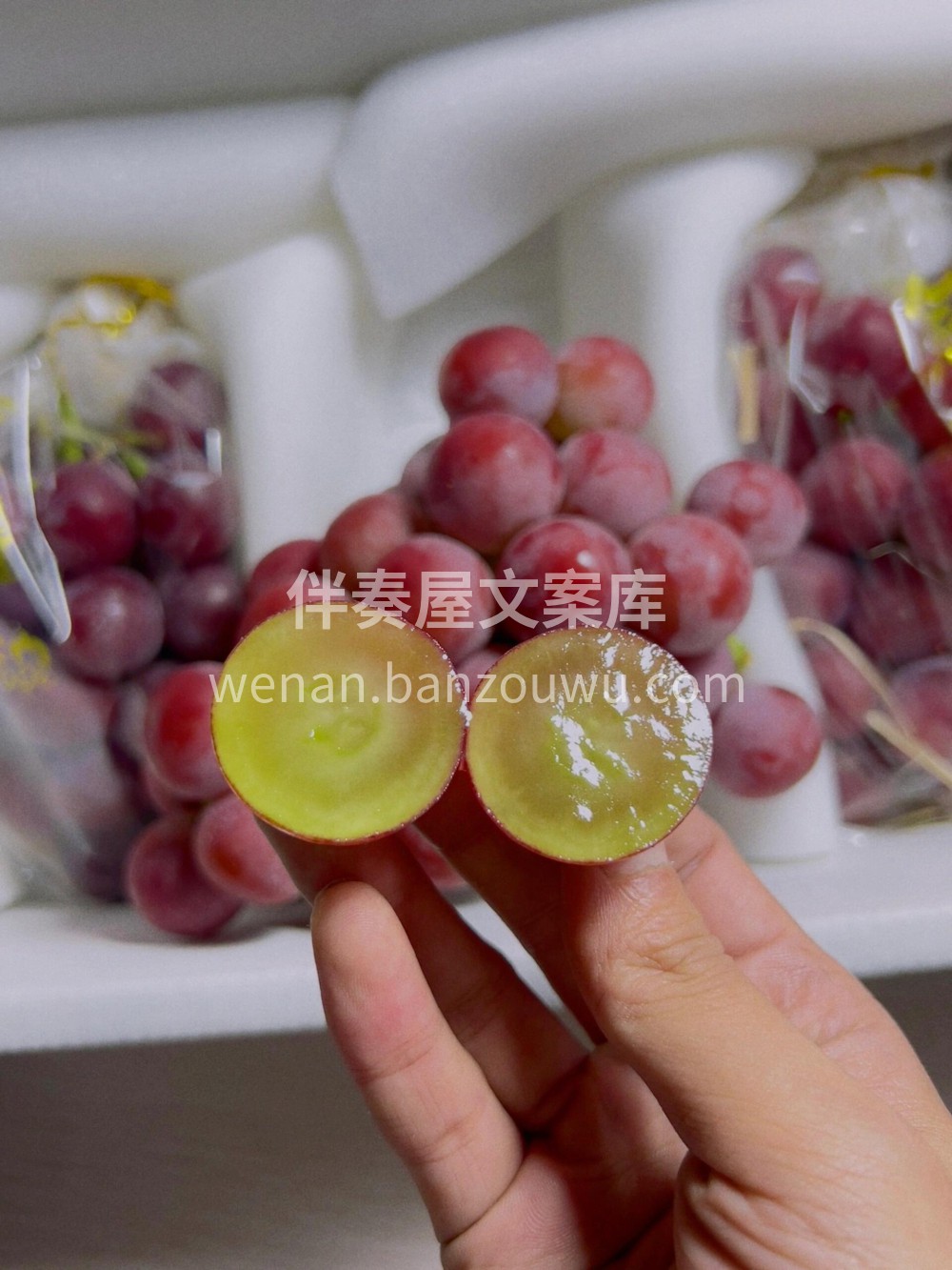 💚Queen Nina（妮娜女王）红晴王 配图1