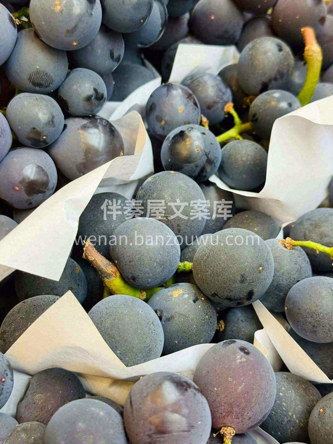 🍇葡萄味浓郁，指尖轻轻一挤，吸溜一下直接 配图2