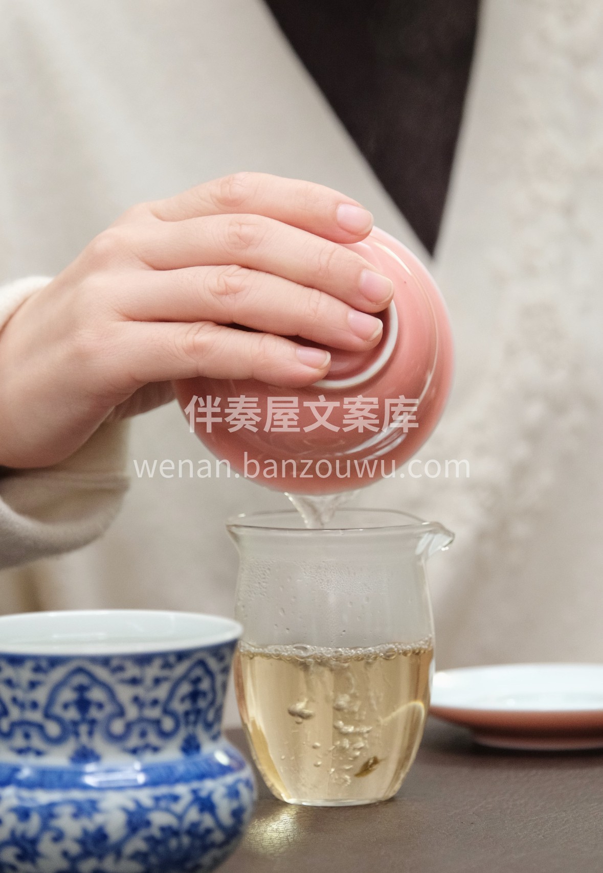 霍山黄芽｜黄茶里的春日鲜醇 皖西深山云雾 配图3