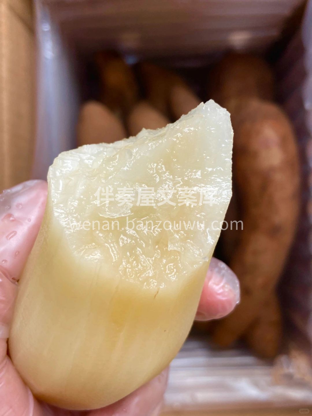 🍃仙气飘飘的雪莲果😍 🍭拥有雪梨般的清甜 配图1