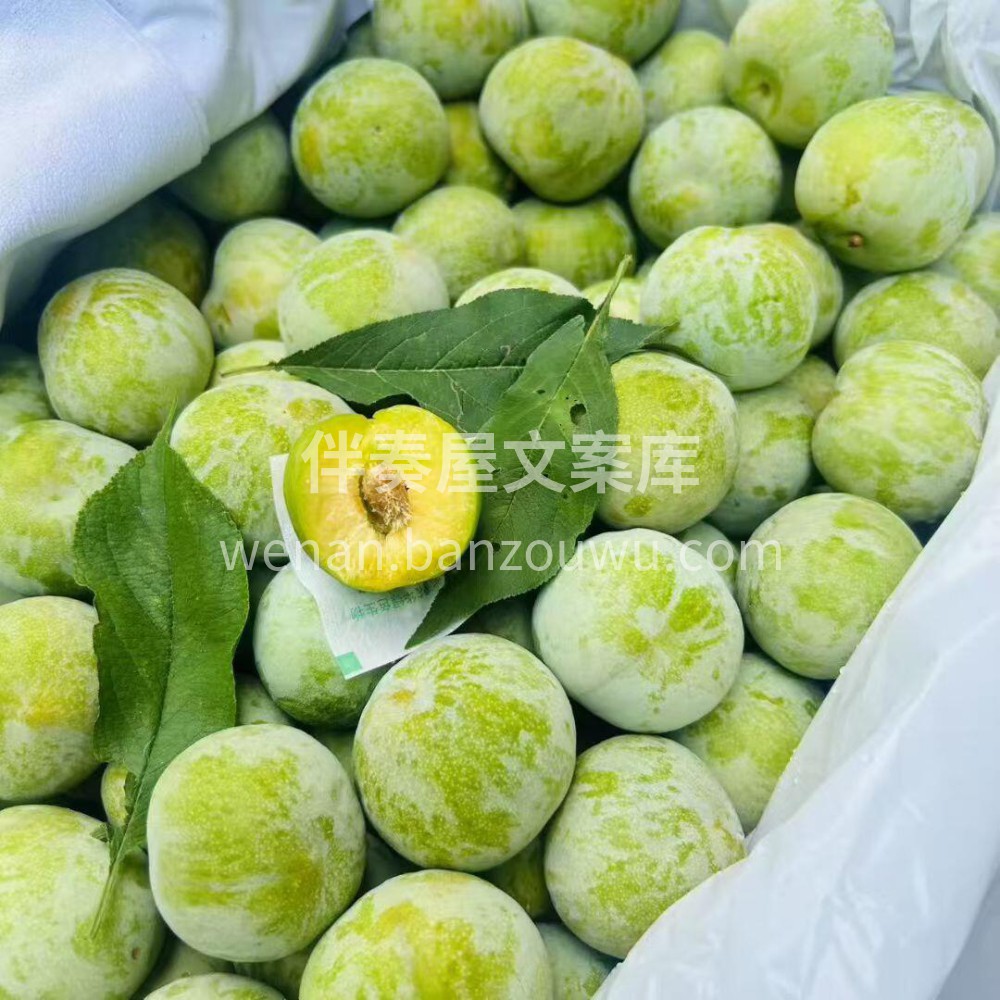 蜂糖李🤤怎么会有这么好吃的李子！😋绿色的 配图1
