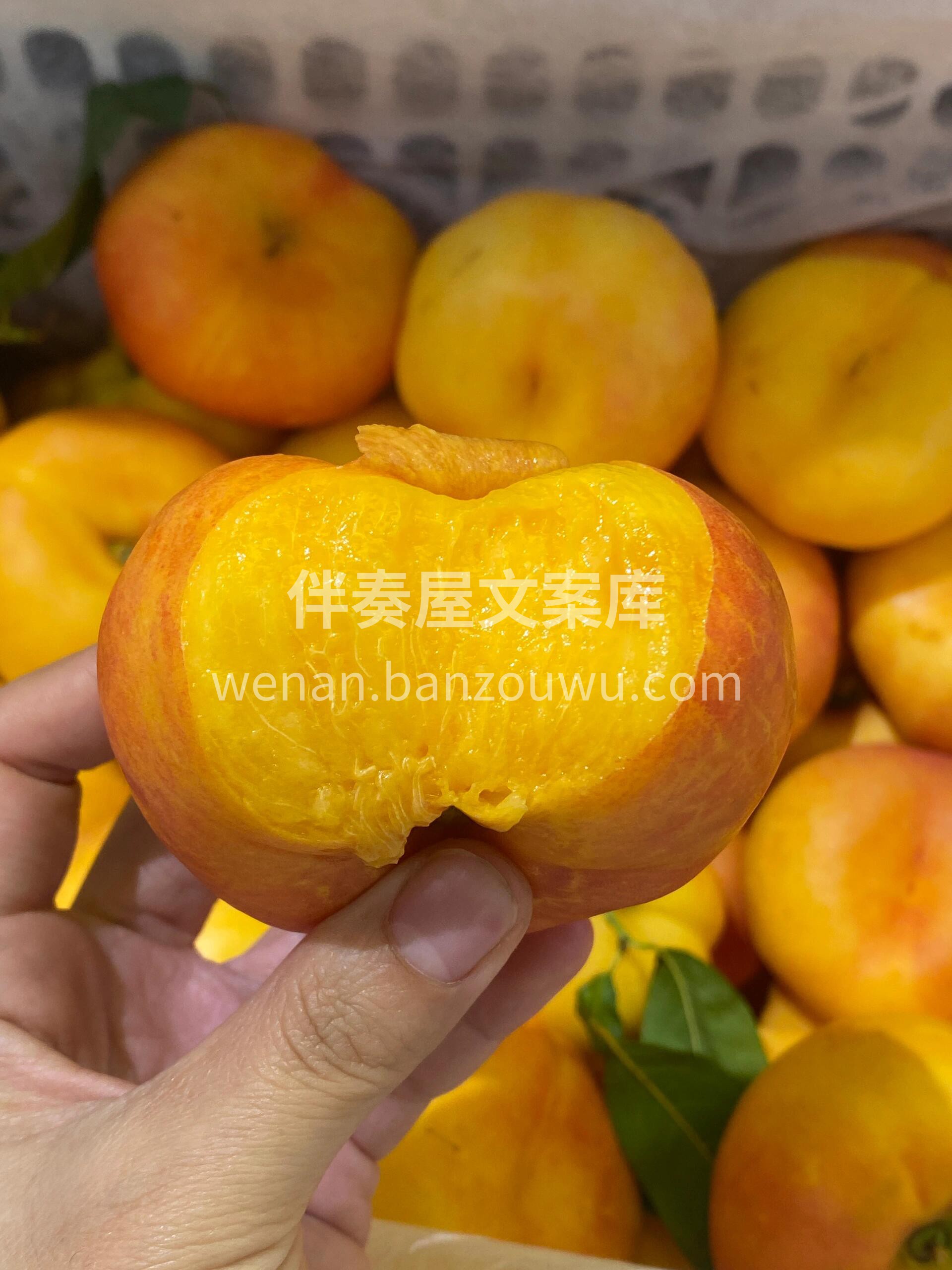 😍吃桃的季节怎么能少得了这金灿灿的黄金蟠 配图1