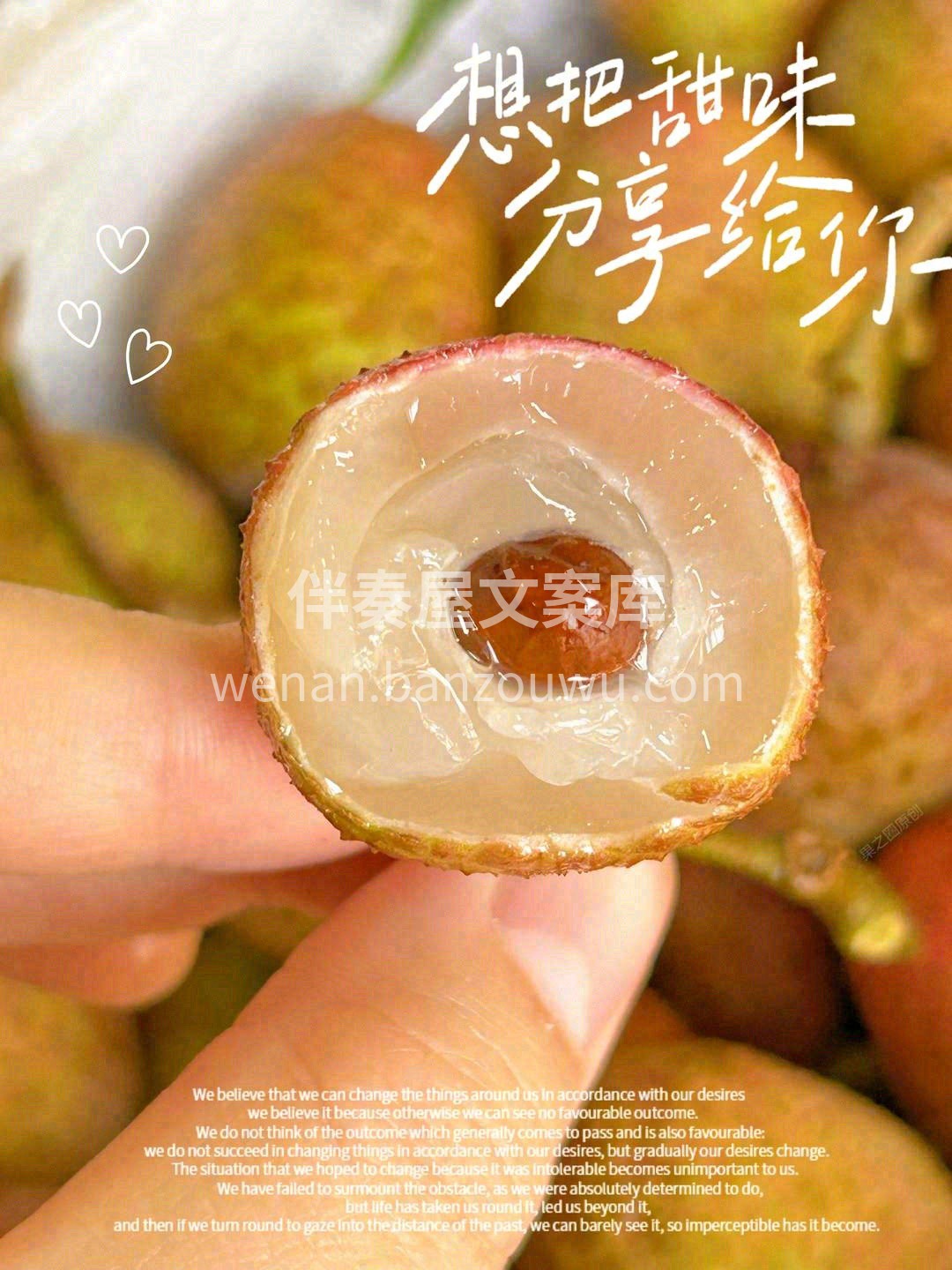 ?桂花香荔枝味道非常甜?，一般人很少吃到 配图3