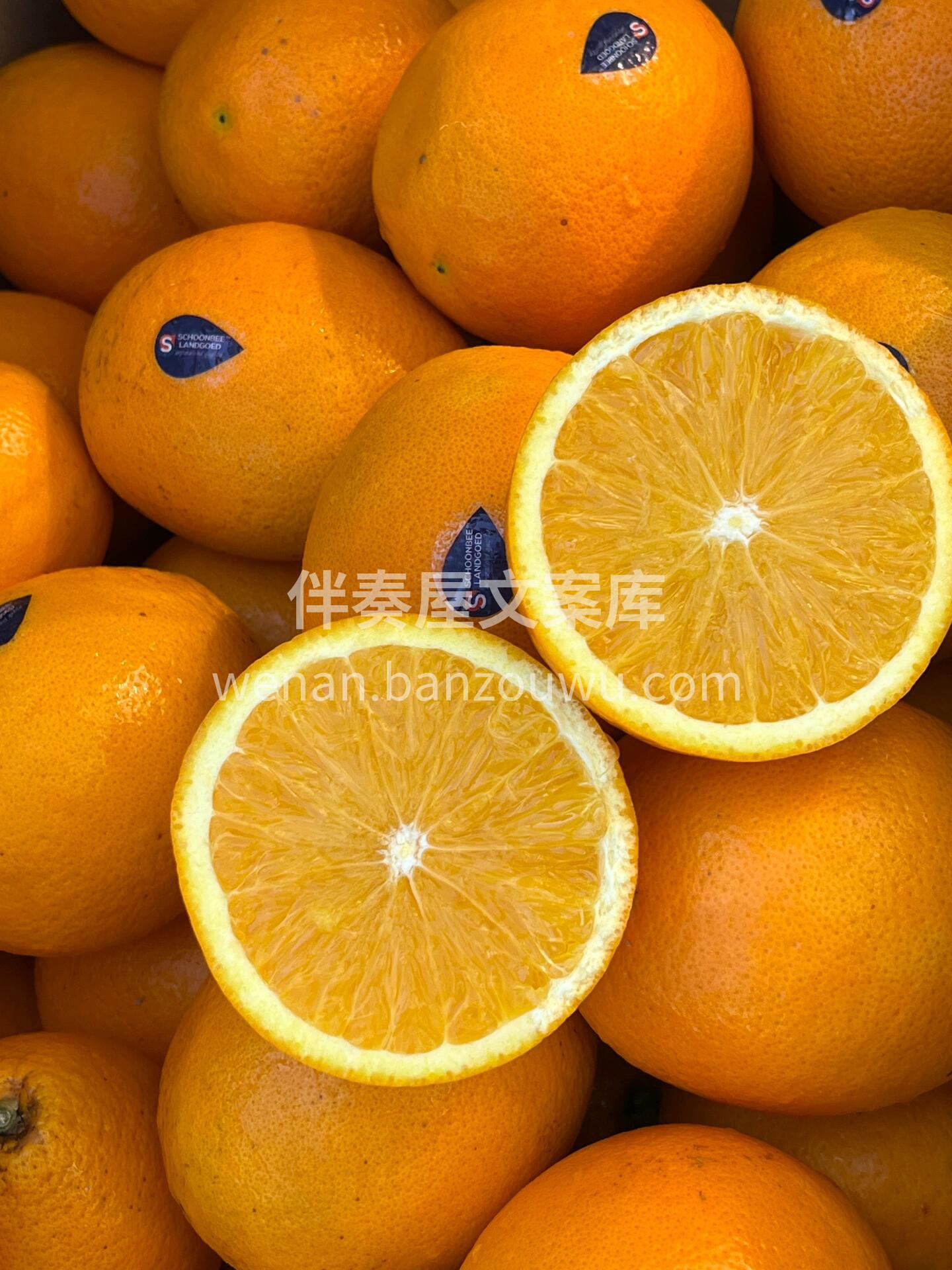 每日VC在这里👇 🌈来自“彩虹之国”的【 配图2