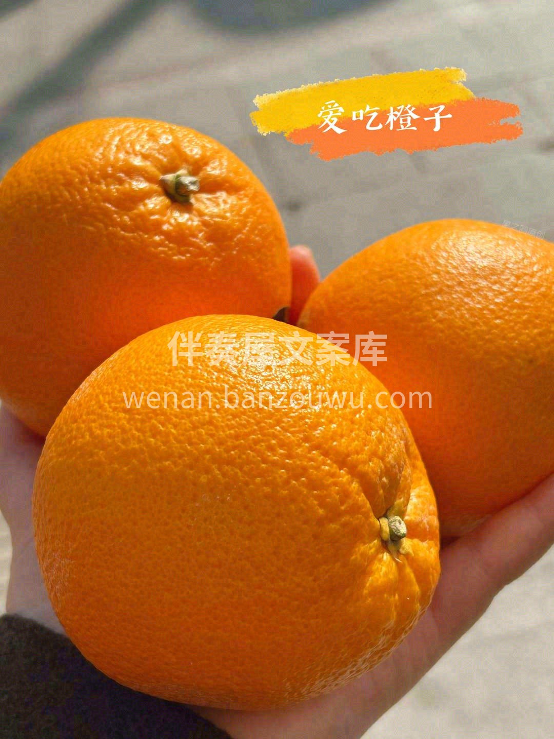 浓郁橙香🍹，果肉色泽橙黄🍊，肉质紧致，入 配图3