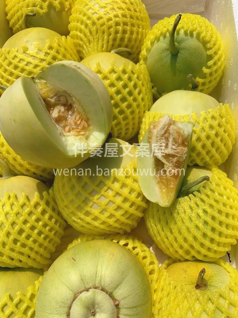 马连庄甜瓜?香喷喷，水润润～ 甜津津?一 配图2