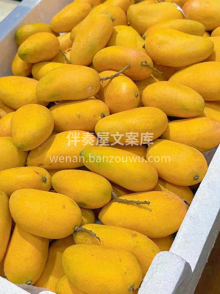 🔥台农芒果上市！ 果皮黄灿灿，果肉金黄细 配图3