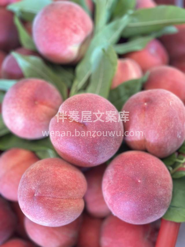 龙泉水蜜桃🍑 白里透红，水分饱满，汁多味 配图3