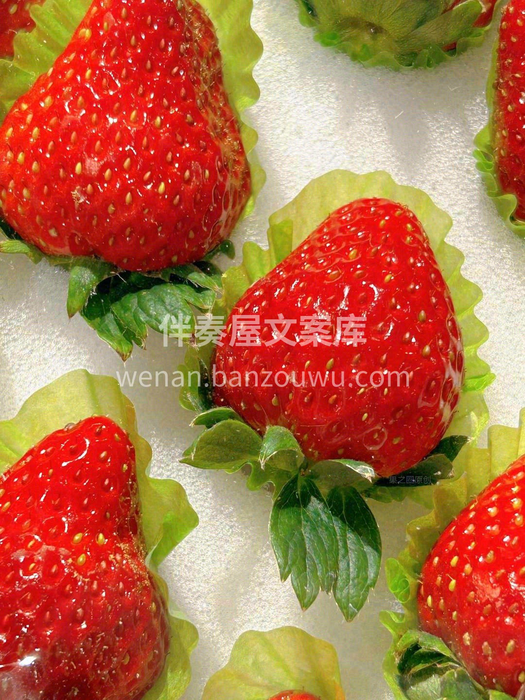 “秋冬之吻”💋 来自北纬40度辽宁省丹东 配图2