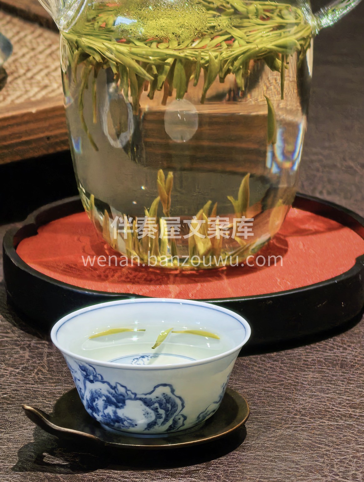 崂山云雾养好茶🌿/新春年货. ✨明前绿茶 配图3