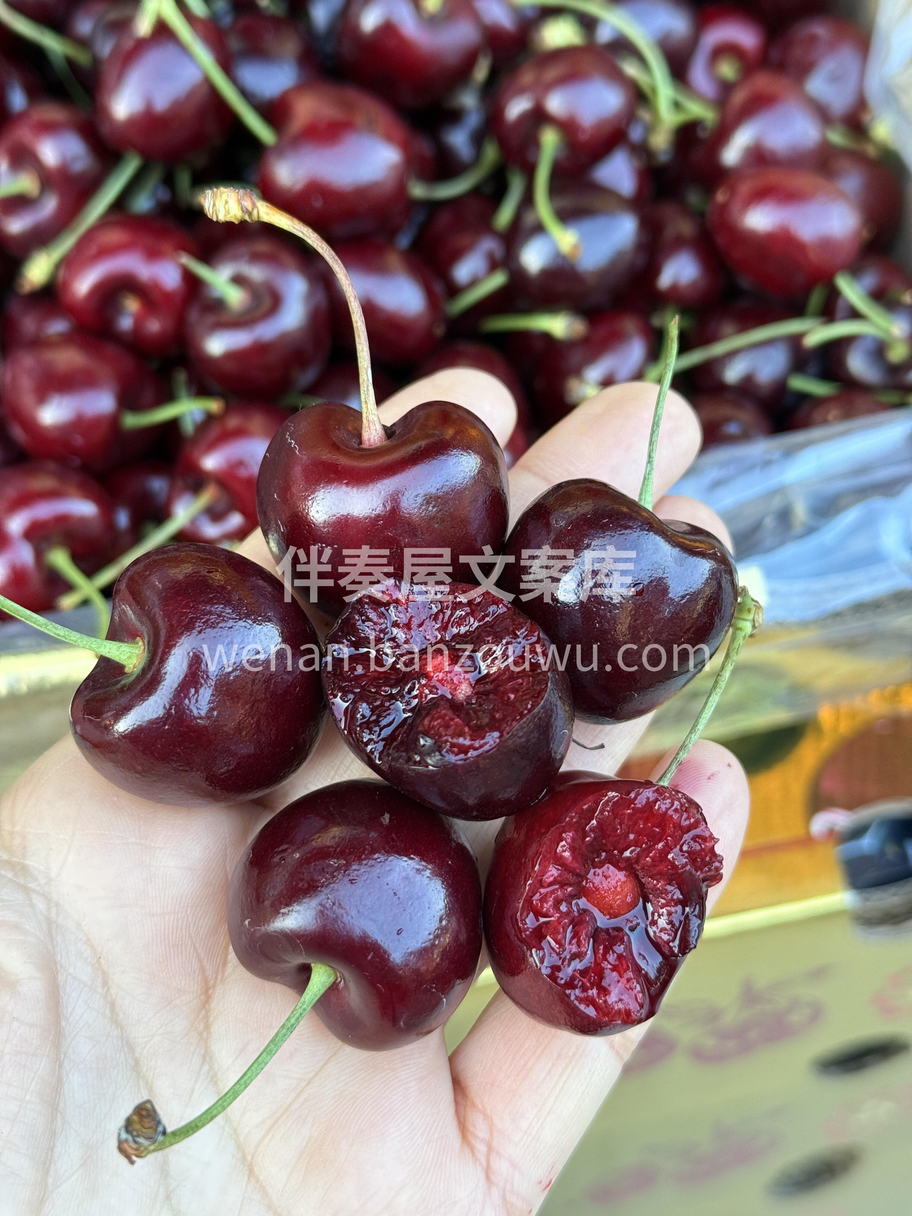 🙆爱吃的小仙女们，一定要尝尝这颗大车车🍒 配图2