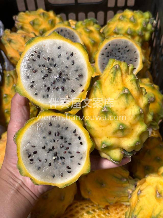 💞遇见即是幸运✨ 黄金燕窝果💛，号称“肠 配图3