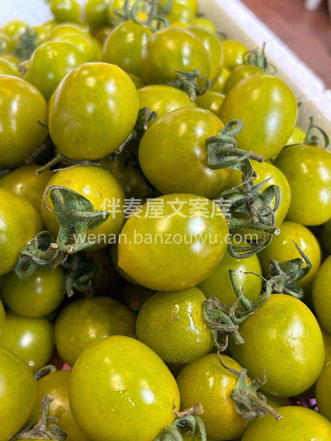 清新的番茄味🍅，几乎尝不到番茄的酸👍 皮 配图1