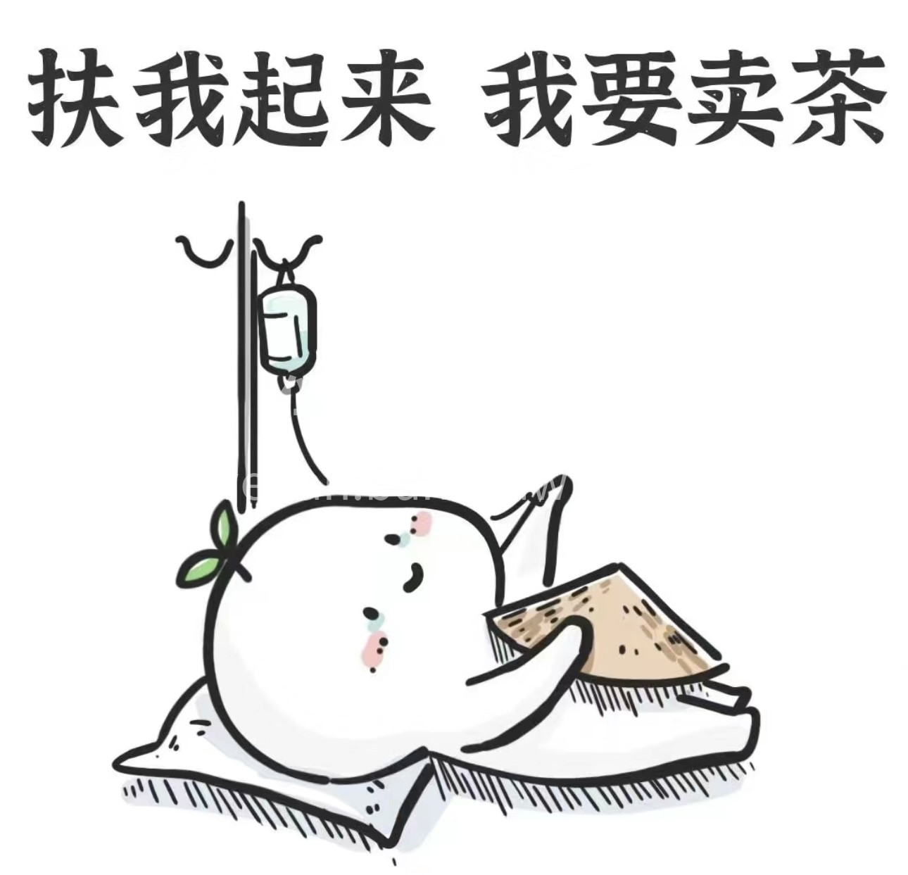 我们素味平生，却因茶相识，我因品质敢保证 配图2