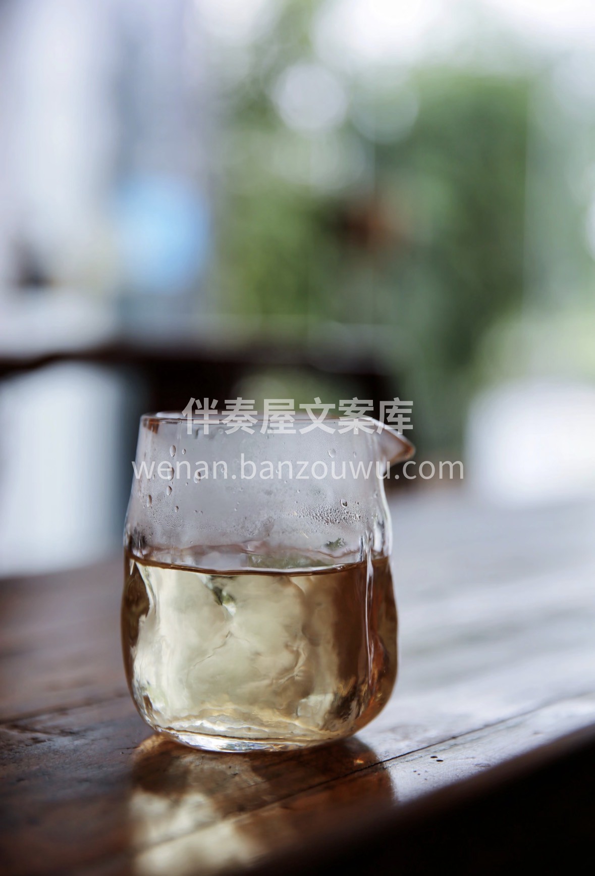 落水成花，白牡丹。 2026新年 ✨白牡 配图3