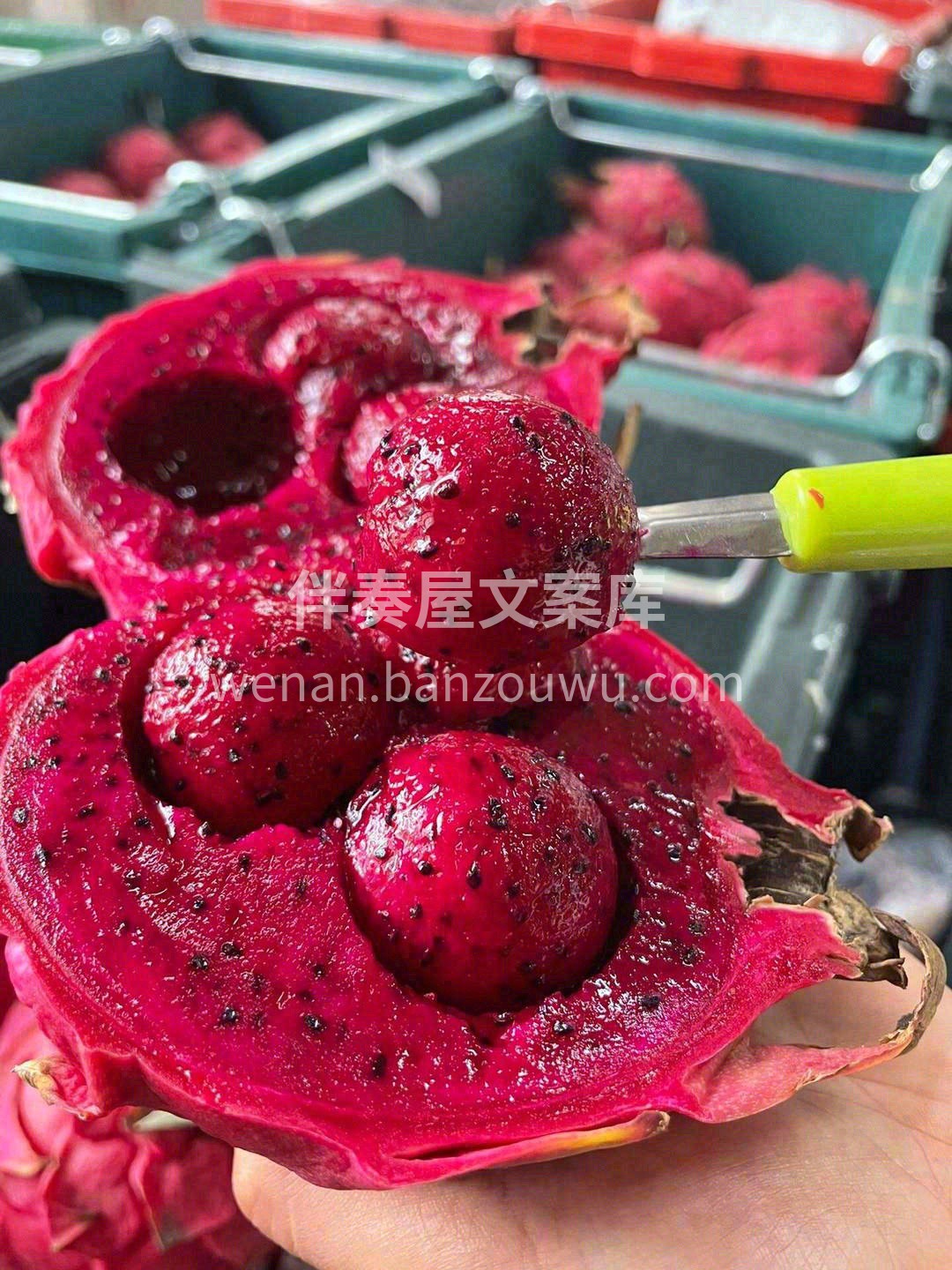 海南蜜宝，通畅润便，排毒养颜‼️ 皮薄到 配图1