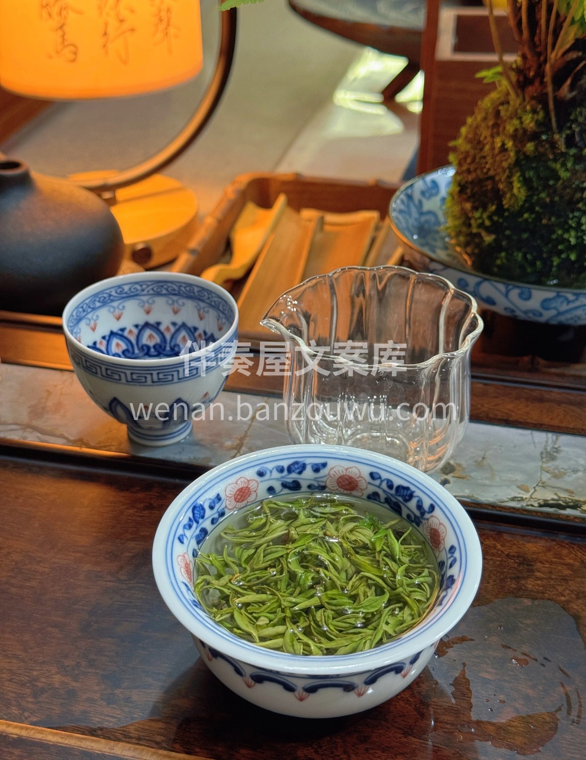 晨露未晞时采得安吉白茶，芽叶裹着春的清润 配图2