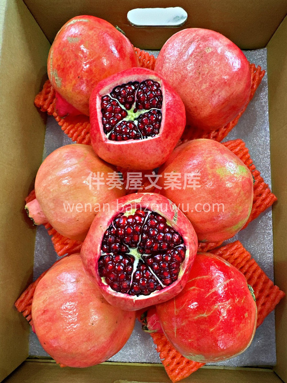 突尼斯软籽石榴❤️ 💐万物可爱，留住美好 配图1