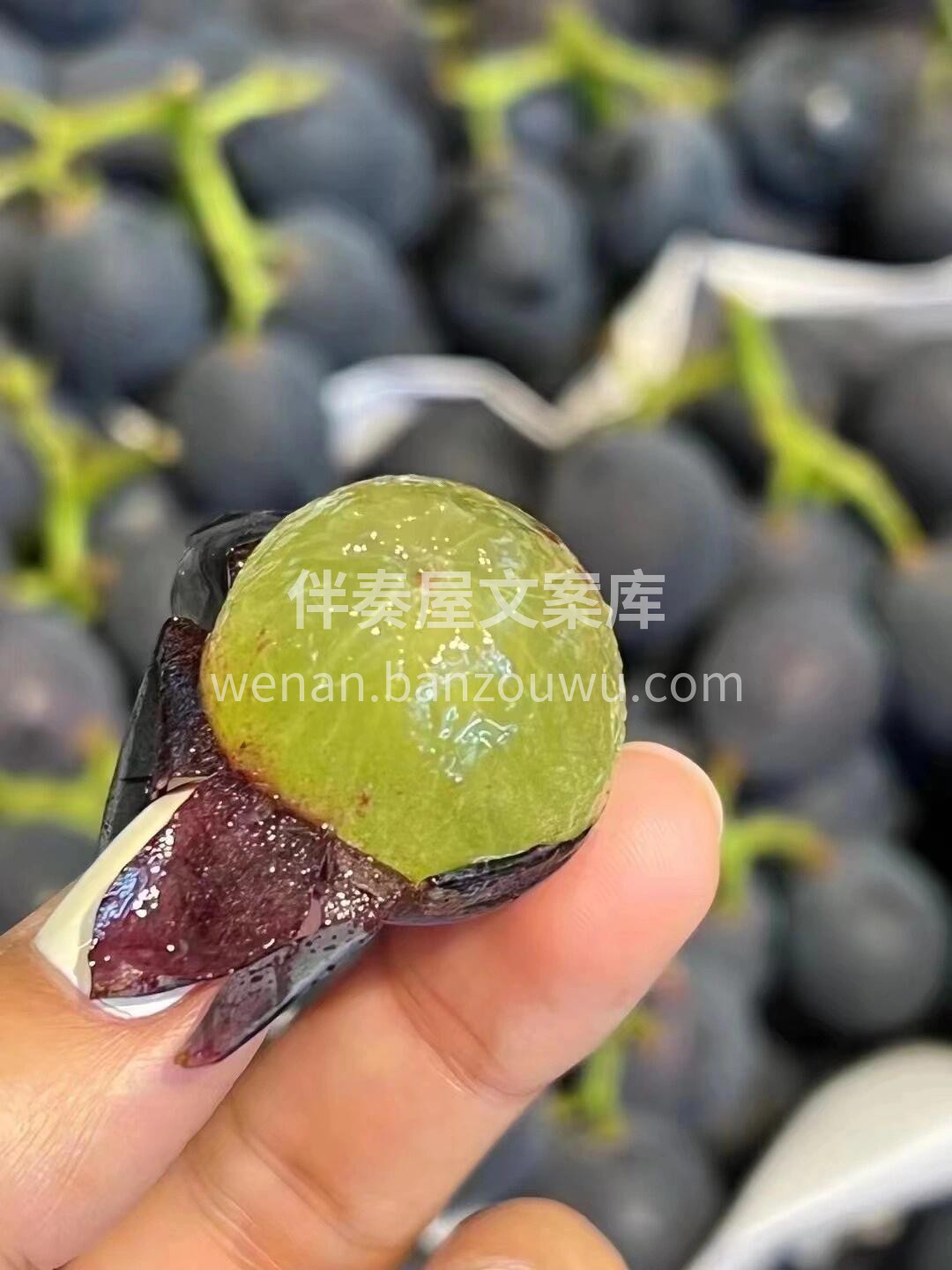 巨峰葡萄：一份坚守的味道🙋，一份淳朴的葡 配图1