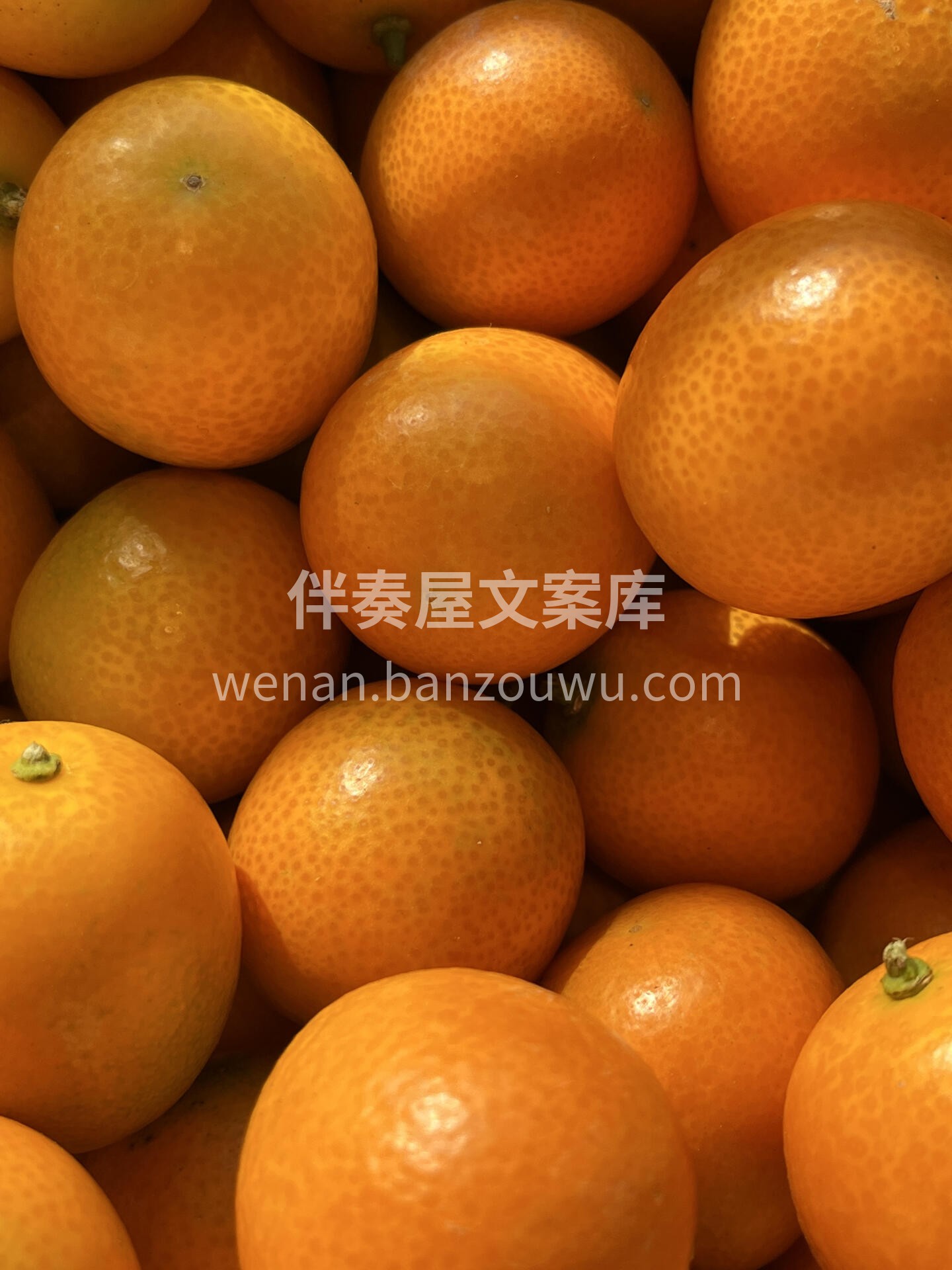 脆皮金桔✔️ 这个季节 无论是家里还是办 配图3