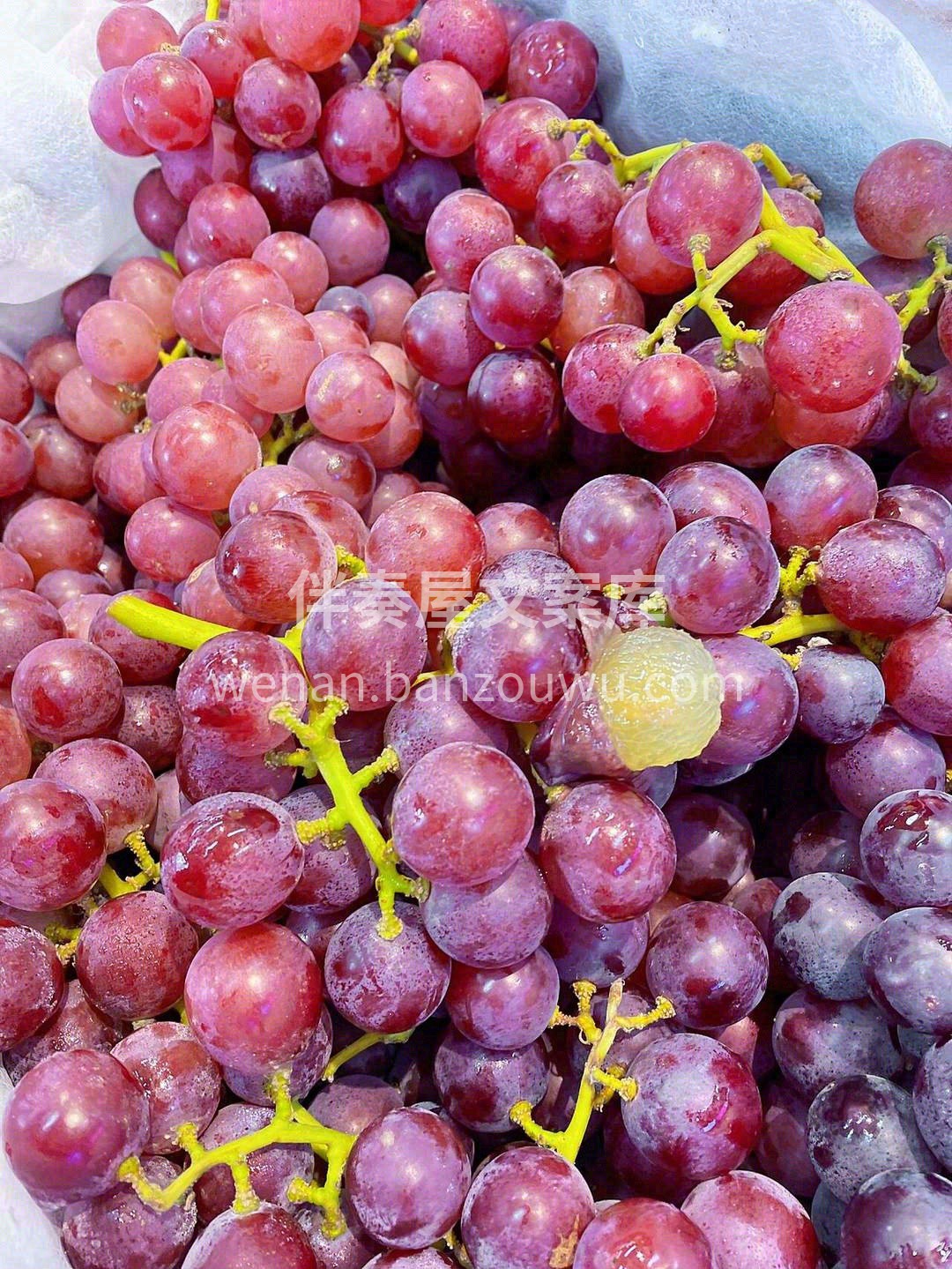 🍇独有的葡萄香气，就是小时候的葡萄味道😍 配图3