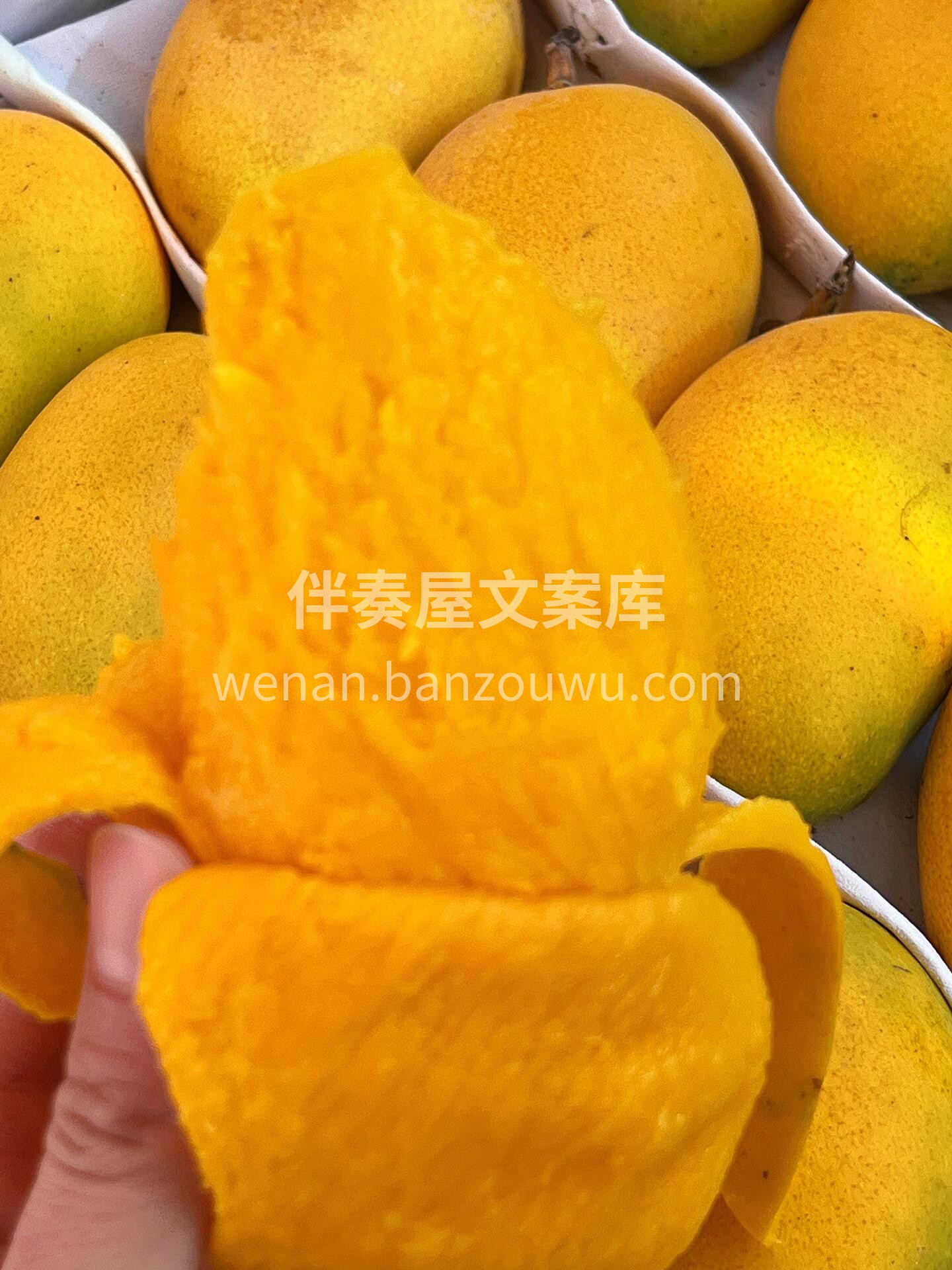 香！甜！多汁！🎉 快迎接夏日🌈小台芒的甜 配图3